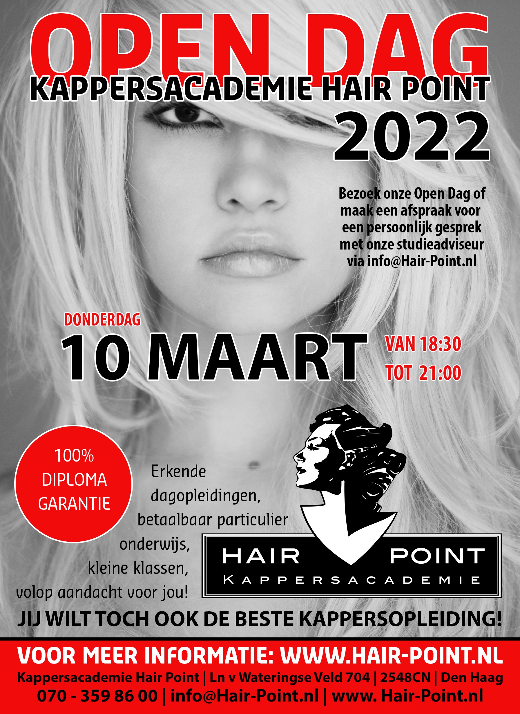 opendag flyer